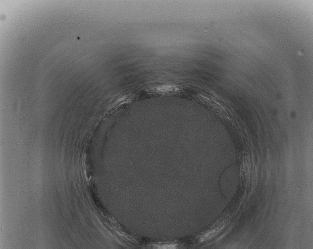 X0000063500651200601271746