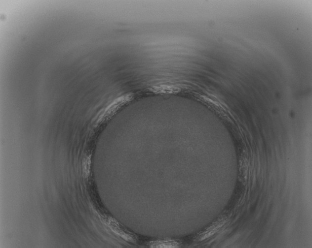 X0000063500652200601271746