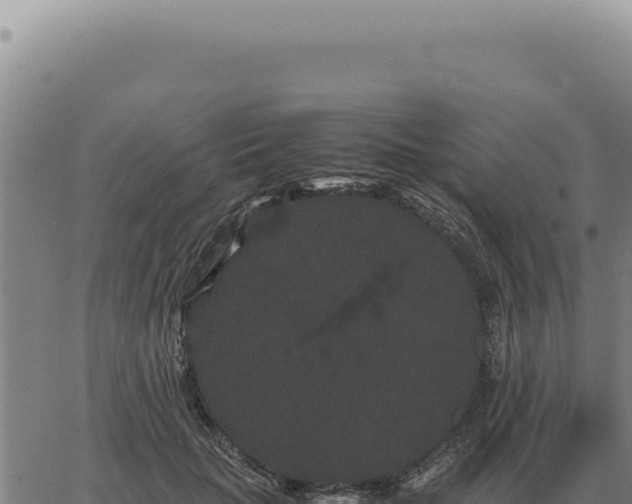 X0000063500653200601271746