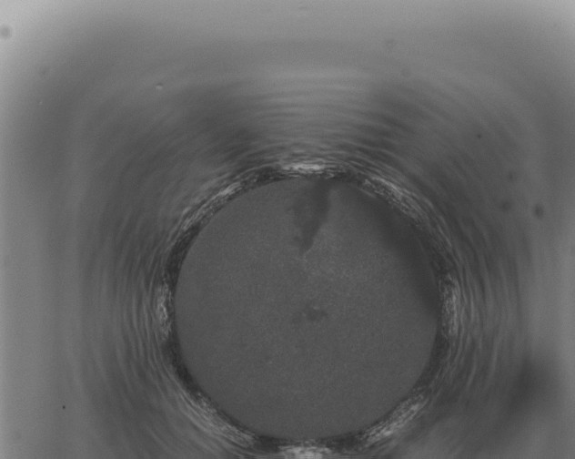 X0000063500654200601271746