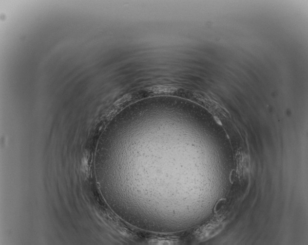 X0000063500655200601271746