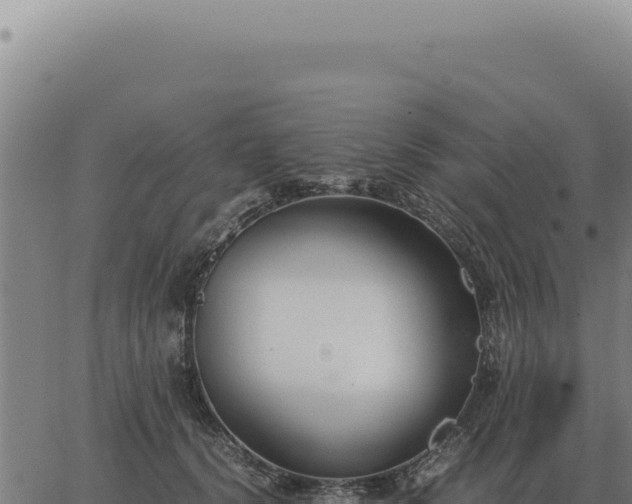 X0000063500656200601271746