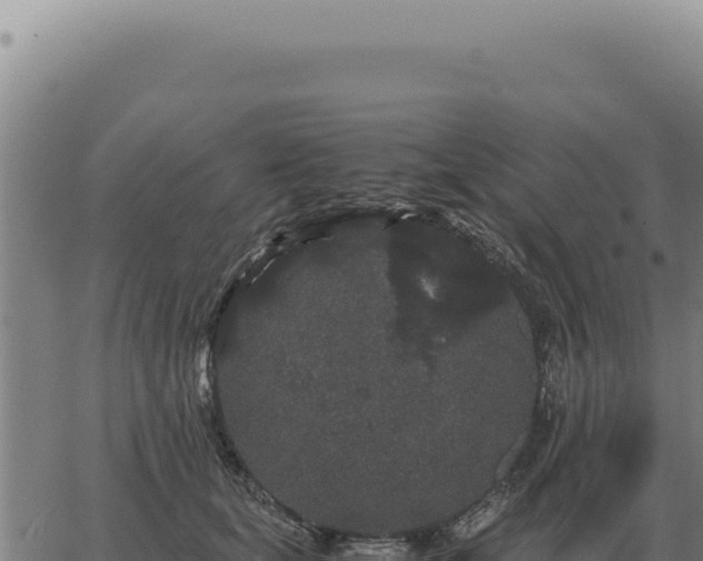 X0000063500659200601271746