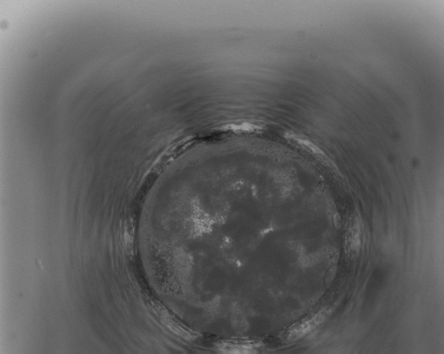 X0000063500661200601271746