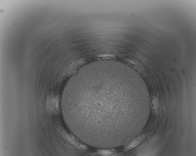 X0000063500662200601271746