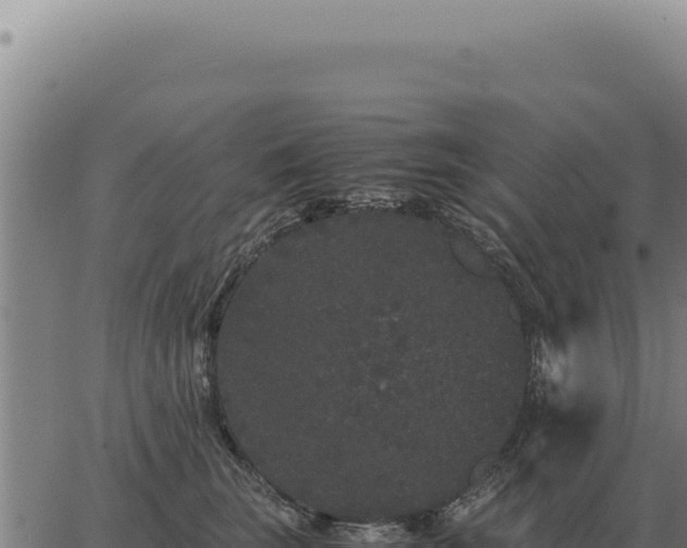 X0000063500663200601271746