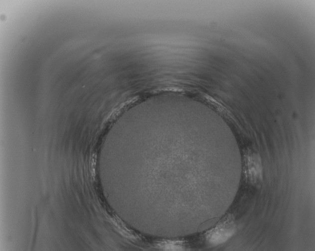 X0000063500664200601271746