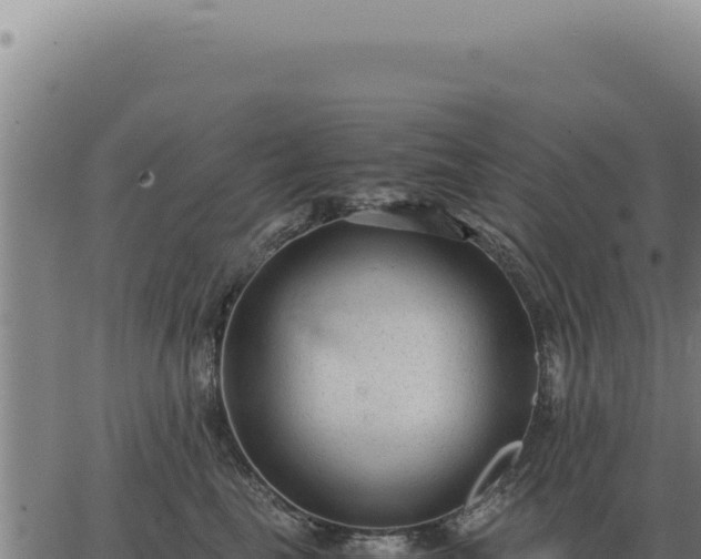 X0000063500665200601271746