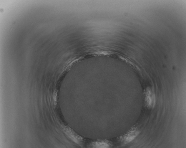 X0000063500668200601271746