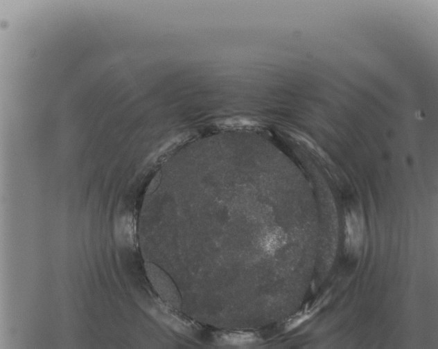 X0000063500669200601271746