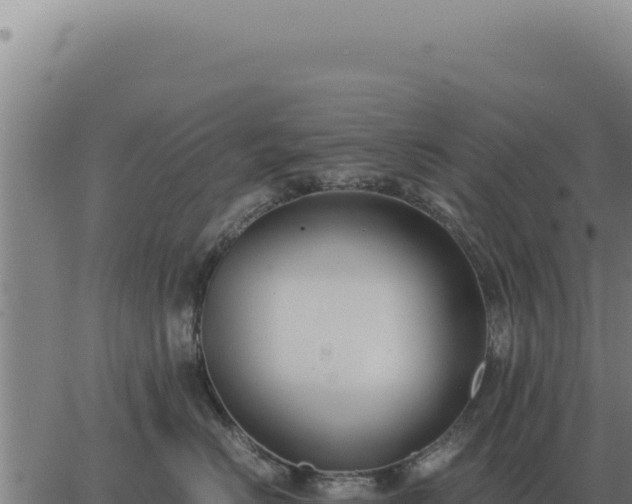 X0000063500670200601271746