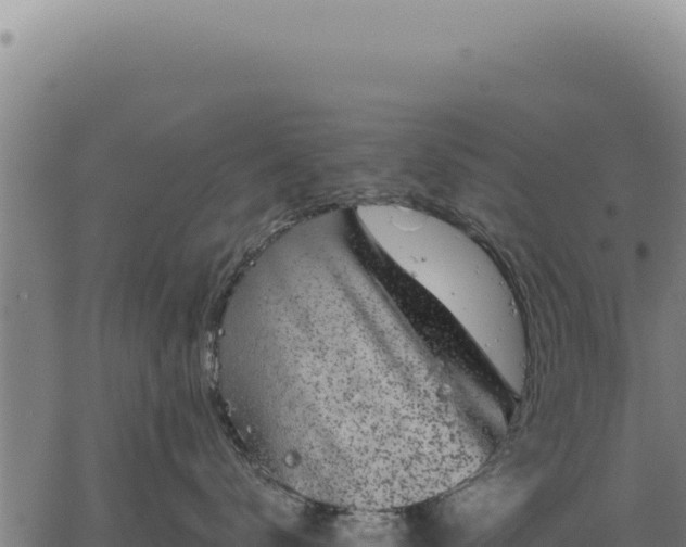 X0000063500672200601271746