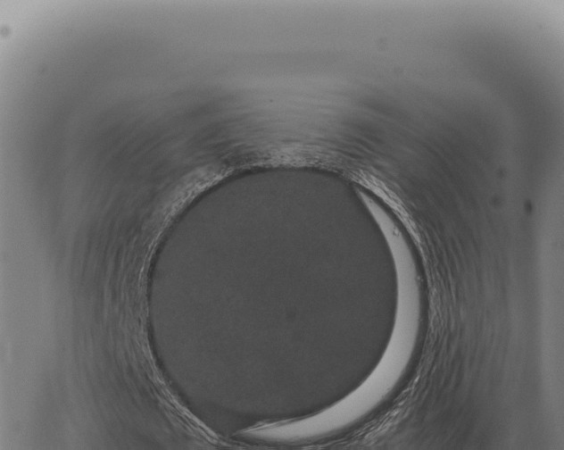 X0000063500673200601271746