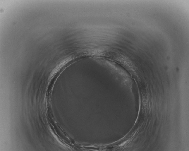 X0000063500674200601271746