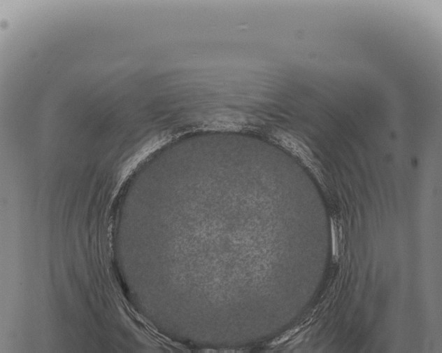 X0000063500675200601271746