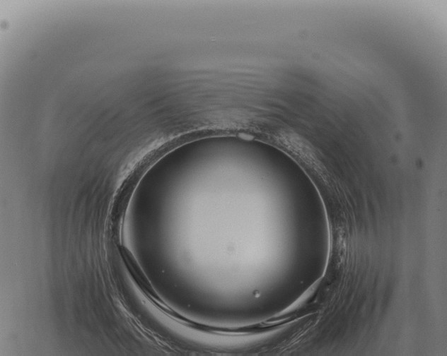 X0000063500676200601271746