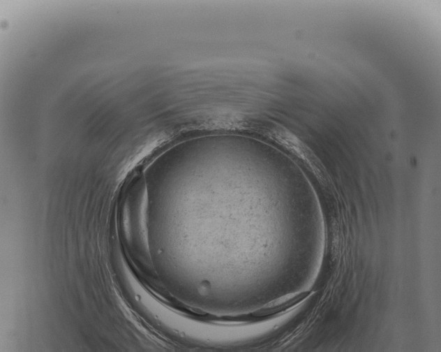 X0000063500677200601271746