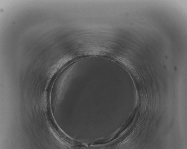 X0000063500678200601271746