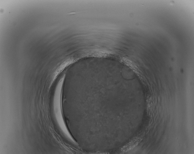 X0000063500679200601271745