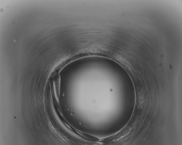 X0000063500680200601271745