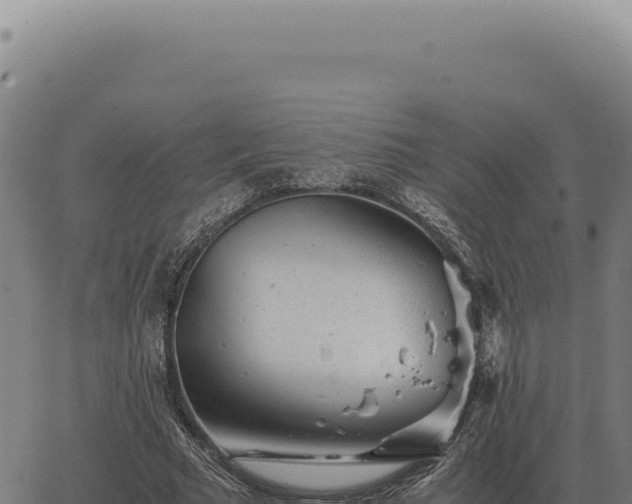 X0000063500681200601271745