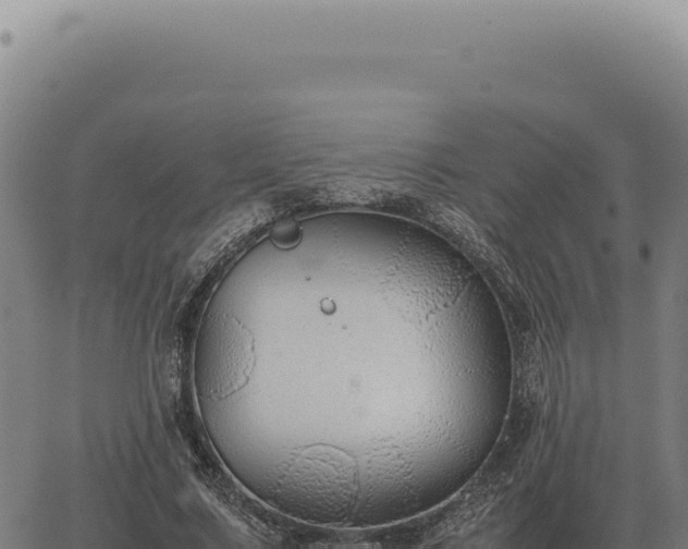 X0000063500683200601271745