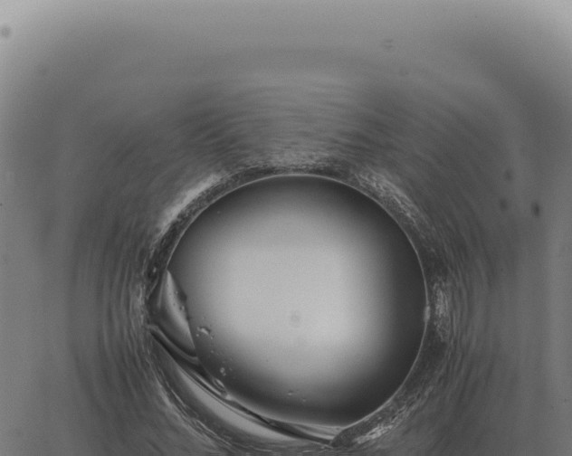 X0000063500684200601271745