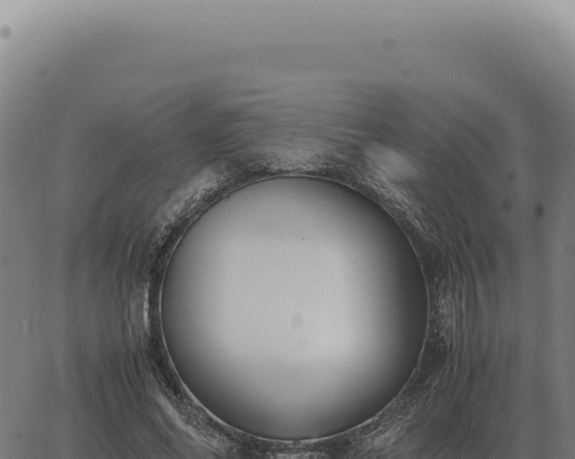 X0000063500686200601271745