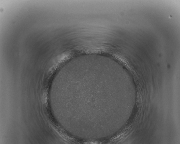 X0000063500687200601271745