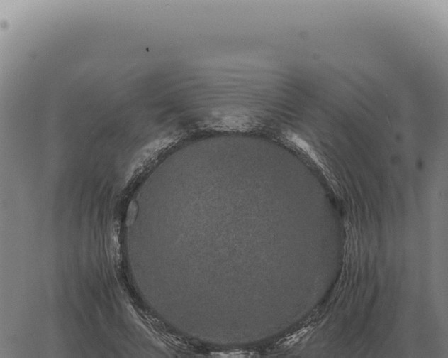 X0000063500688200601271745