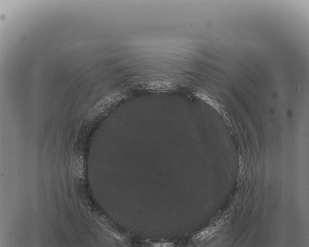 X0000063500689200601271745