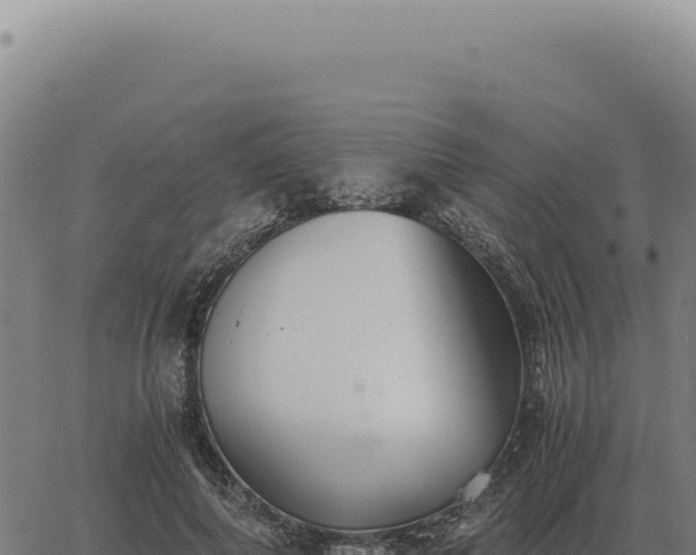 X0000063500690200601271745