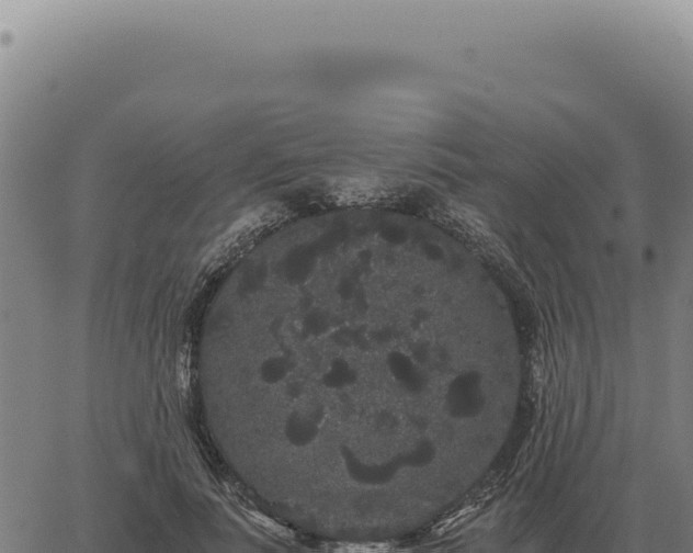 X0000063500691200601271745