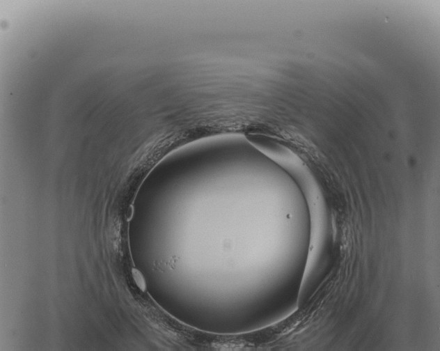 X0000063500693200601271745