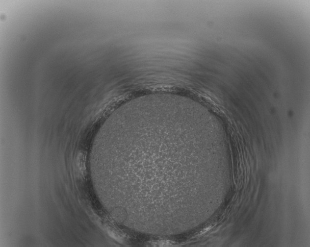 X0000063500695200601271745