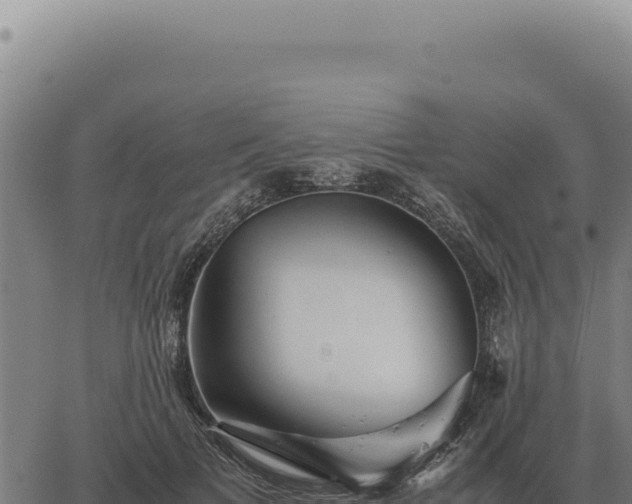 X0000063500697200601271745