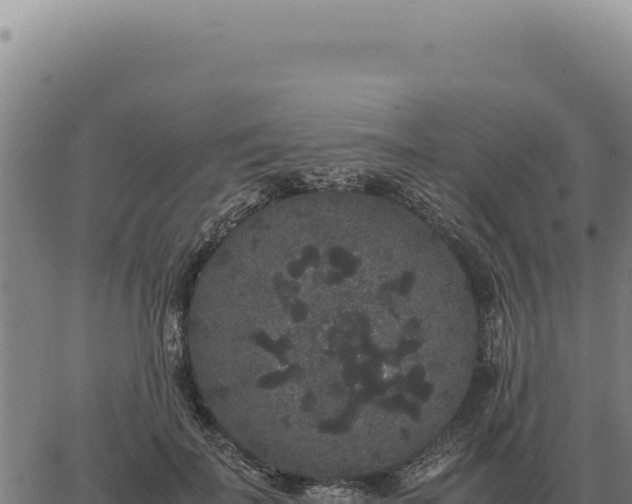 X0000063500699200601271745