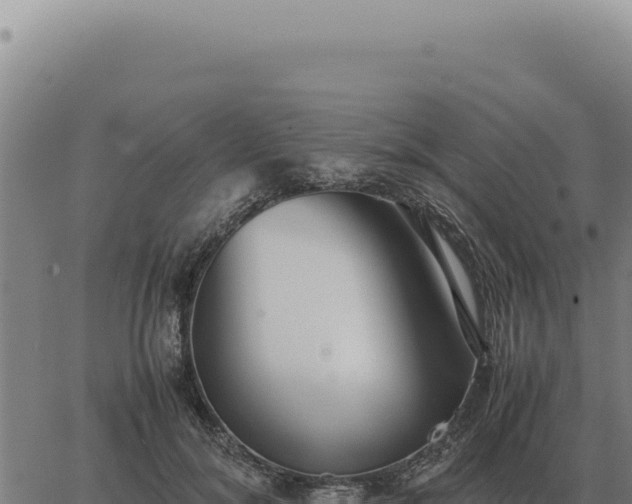 X0000063500700200601271745