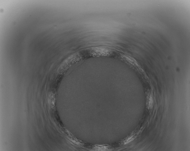 X0000063500701200601271745