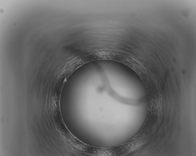 X0000063500702200601271745