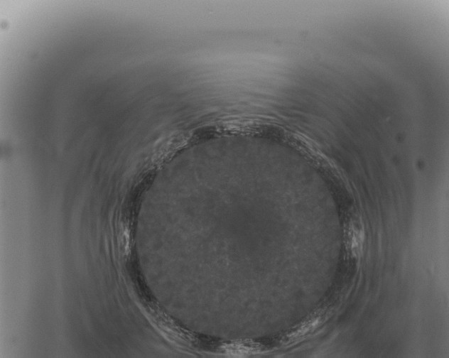 X0000063500703200601271745