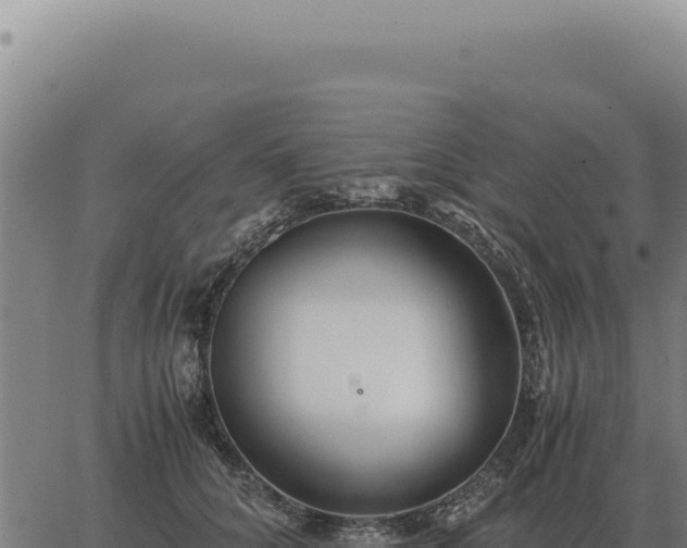 X0000063500704200601271745