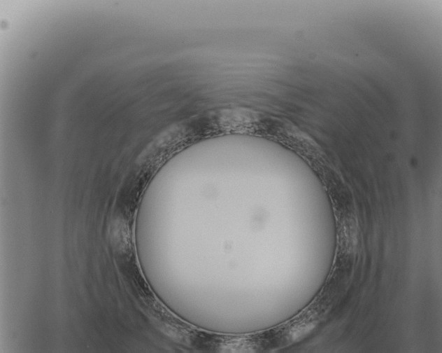 X0000063500705200601271745