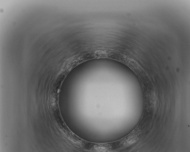 X0000063500706200601271745