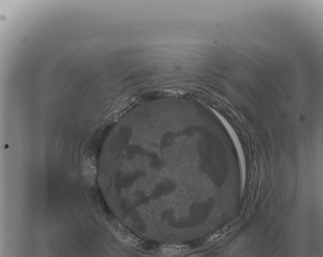 X0000063500707200601271745