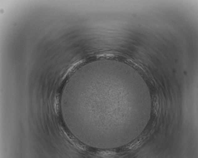 X0000063500708200601271745