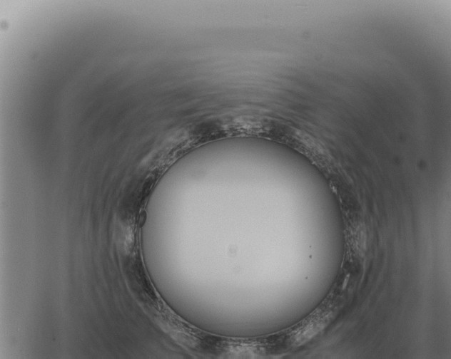 X0000063500709200601271745