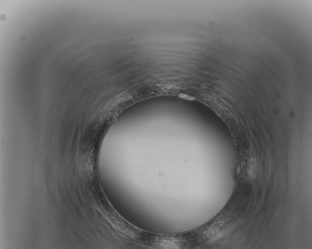 X0000063500710200601271745