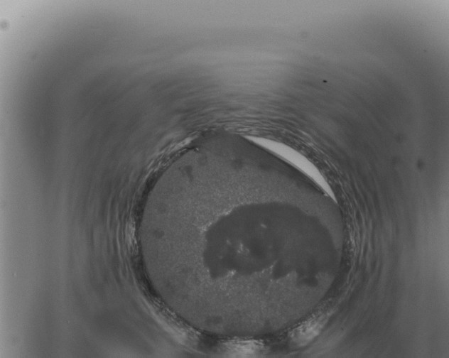 X0000063500711200601271745