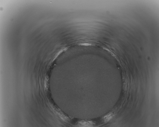 X0000063500712200601271745